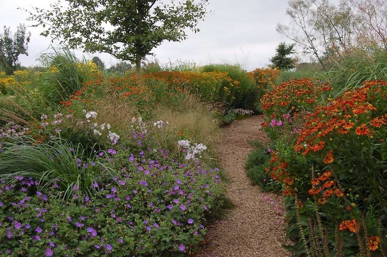 Gärtnerei Jacobs - Het Tuinpad Op / In Nachbars Garten