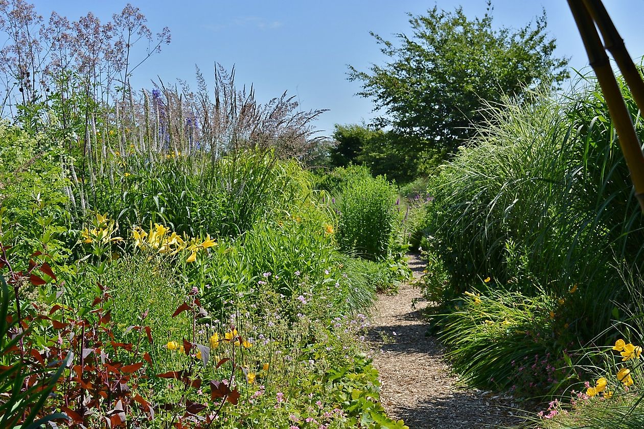 Gärtnerei Jacobs - Het Tuinpad Op / In Nachbars Garten