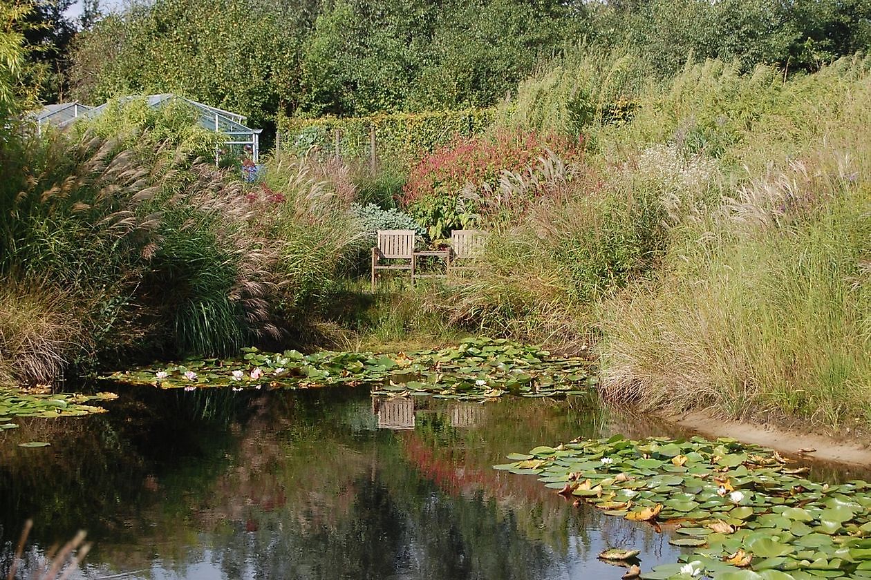 Gärtnerei Jacobs - Het Tuinpad Op / In Nachbars Garten