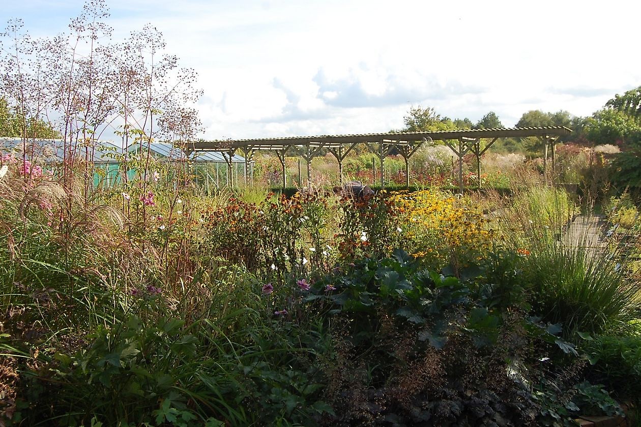 Gärtnerei Jacobs - Het Tuinpad Op / In Nachbars Garten