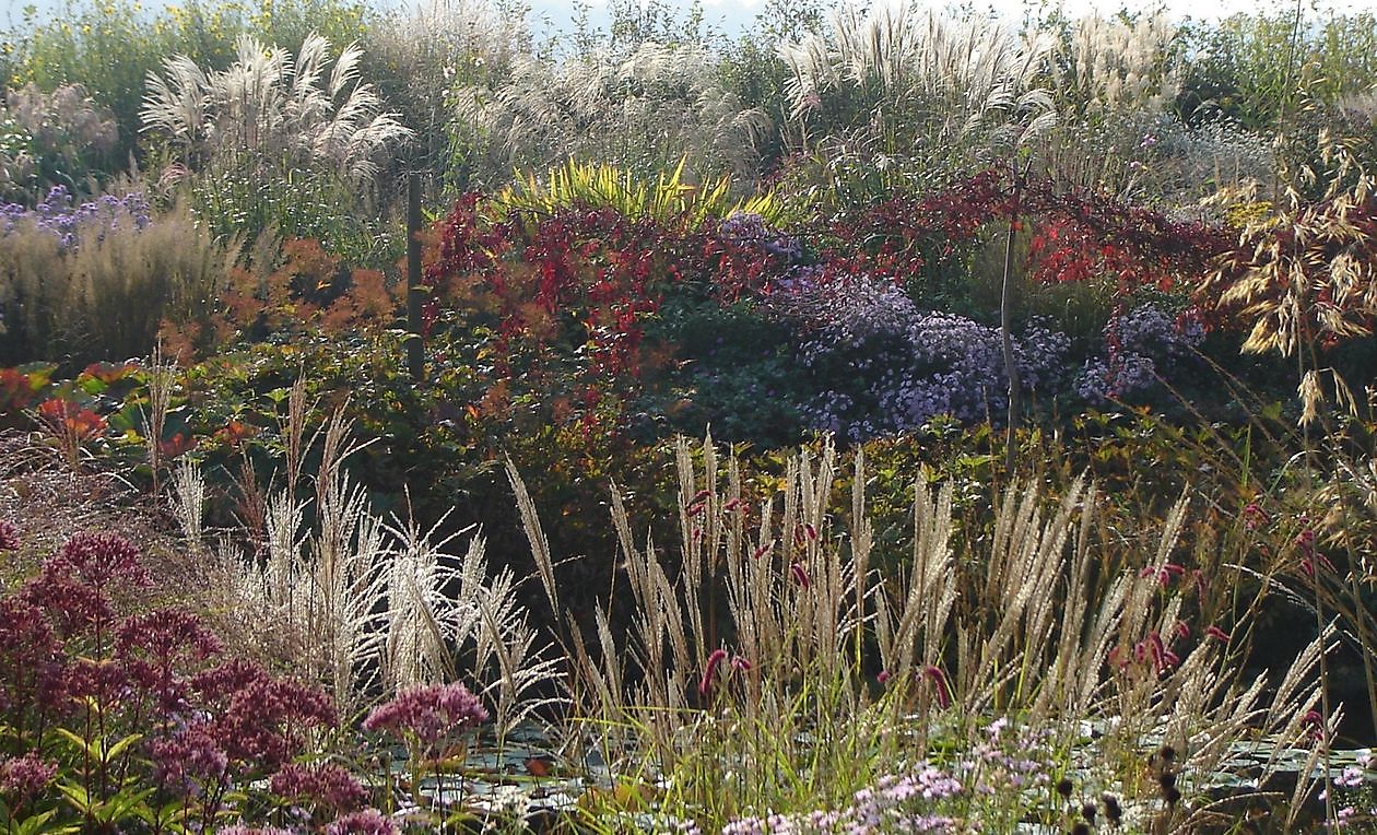 Gärtnerei Jacobs - Het Tuinpad Op / In Nachbars Garten