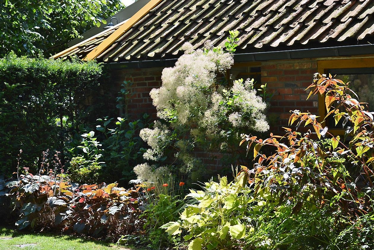 Gärtnerei Jacobs - Het Tuinpad Op / In Nachbars Garten