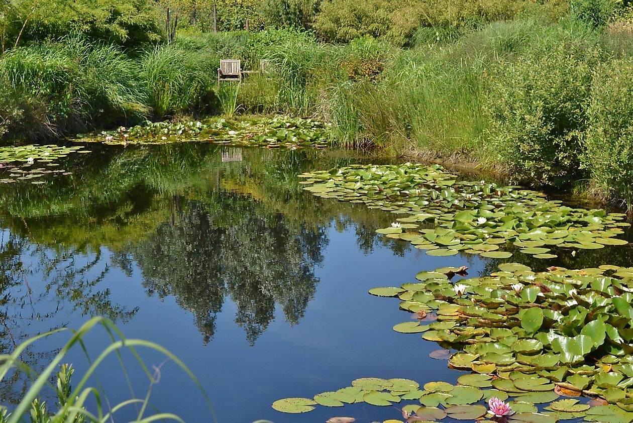 Gärtnerei Jacobs - Het Tuinpad Op / In Nachbars Garten