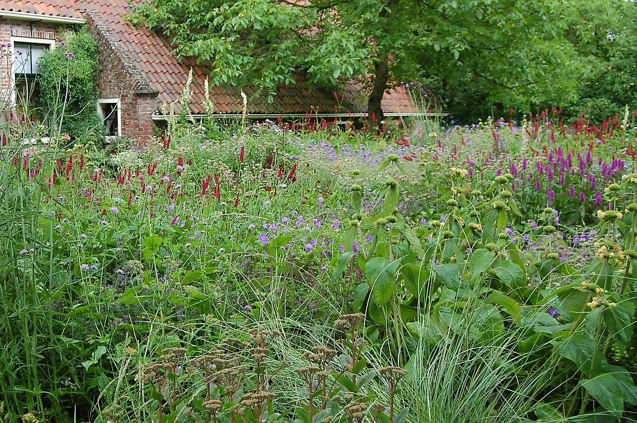 Museum Helmantel (De Weem) - Het Tuinpad Op / In Nachbars Garten