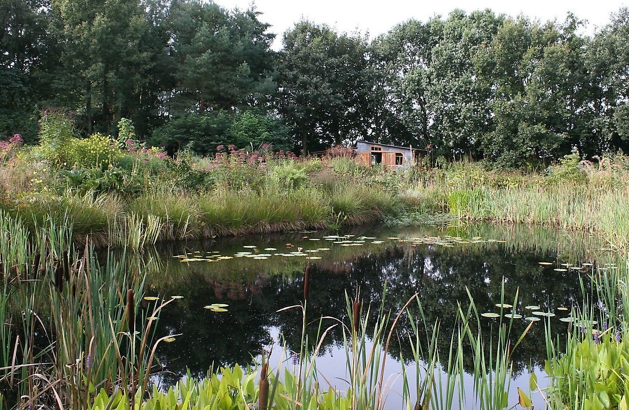 Jan Wilde een Tuin - Het Tuinpad Op / In Nachbars Garten