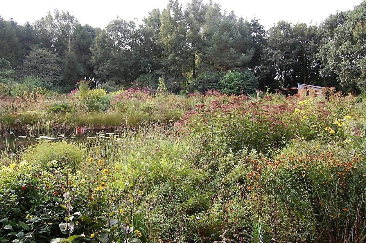 Jan Wilde een Tuin - Het Tuinpad Op / In Nachbars Garten