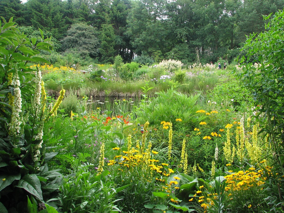 Jan Wilde een Tuin - Het Tuinpad Op / In Nachbars Garten