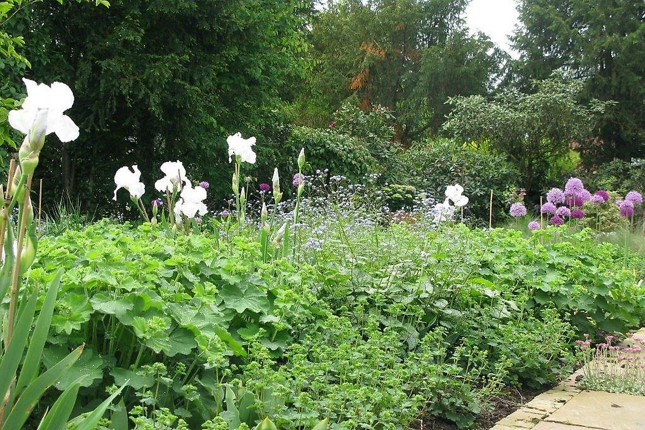 Garten Stolle - Het Tuinpad Op / In Nachbars Garten