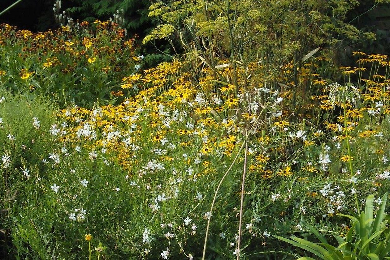 Garten Stolle - Het Tuinpad Op / In Nachbars Garten