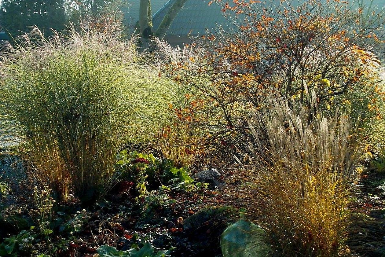 Garten Stolle - Het Tuinpad Op / In Nachbars Garten