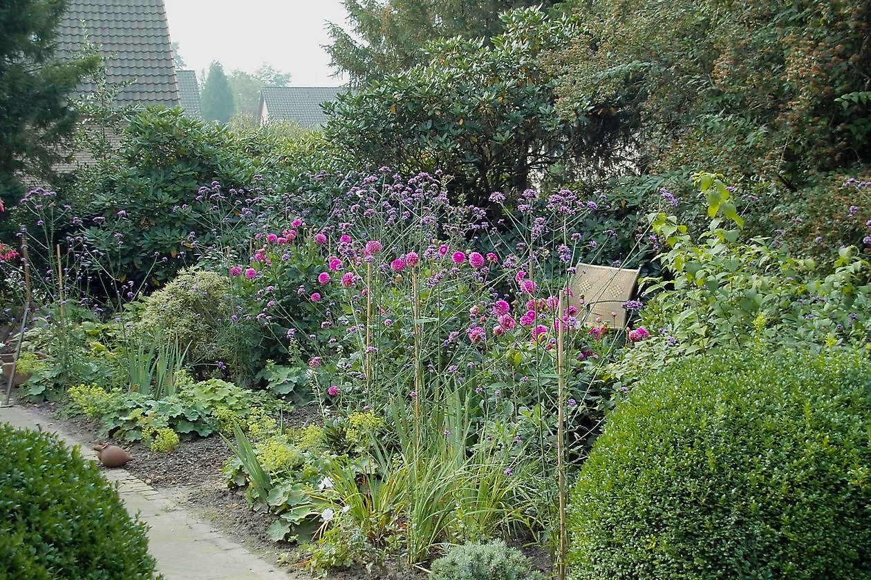 Garten Stolle - Het Tuinpad Op / In Nachbars Garten