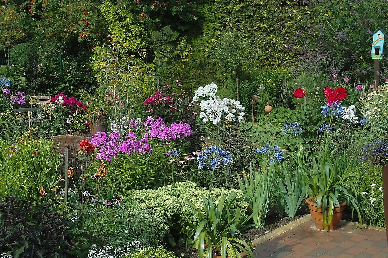 Garten Stolle - Het Tuinpad Op / In Nachbars Garten