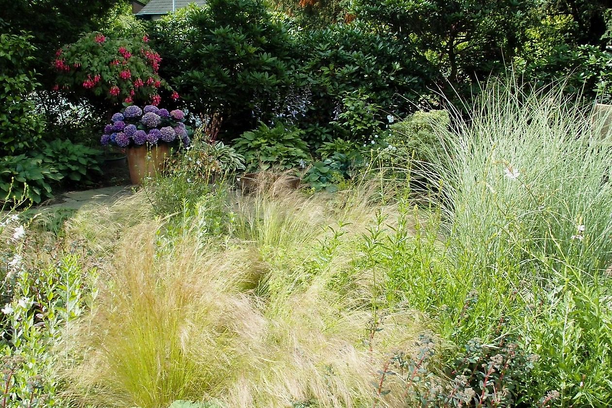 Garten Stolle - Het Tuinpad Op / In Nachbars Garten