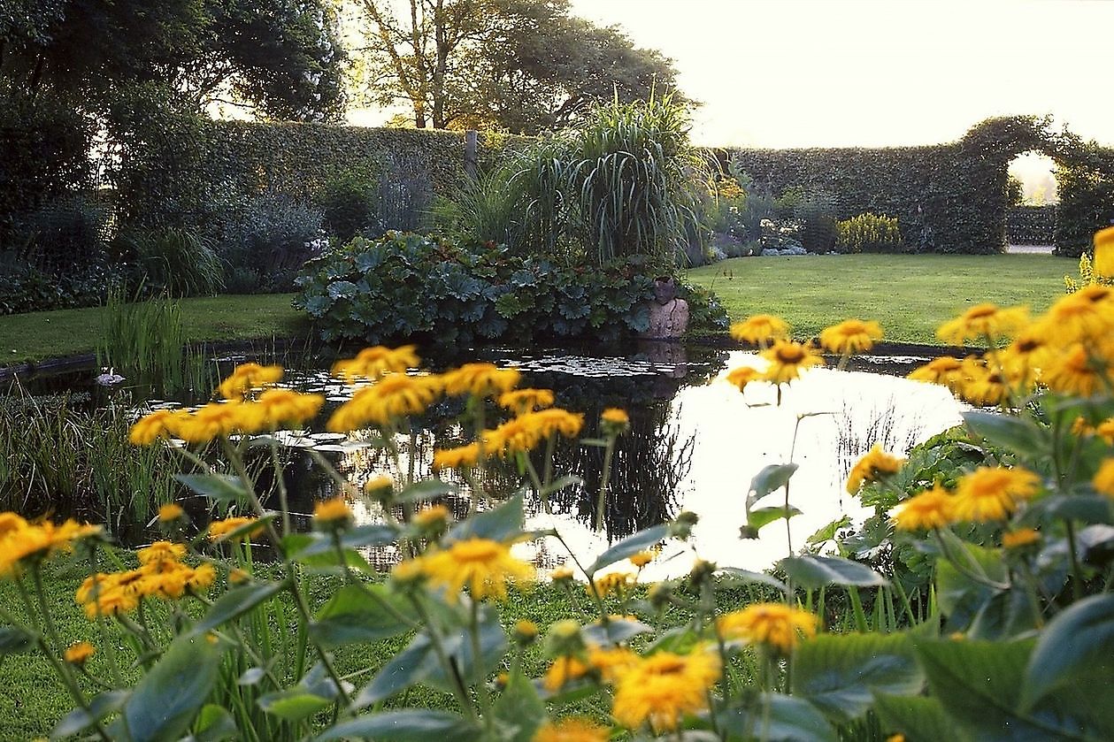 Garten Chris Bruinsma - Het Tuinpad Op / In Nachbars Garten