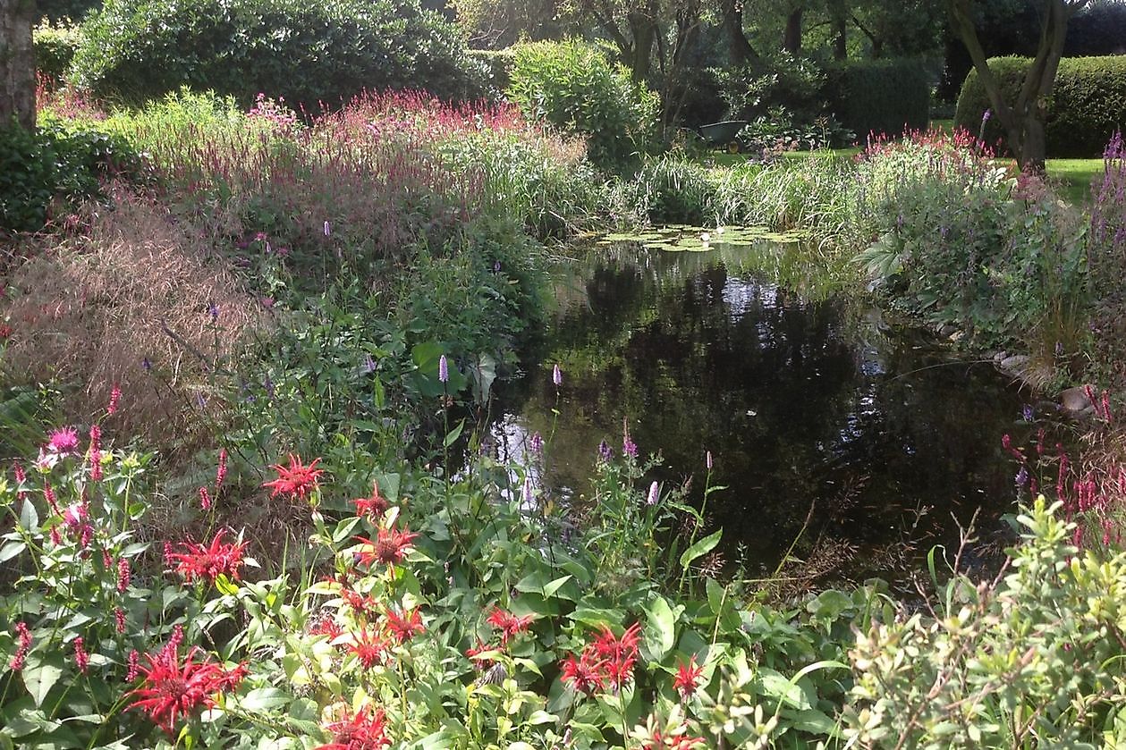 Garten Chris Bruinsma - Het Tuinpad Op / In Nachbars Garten