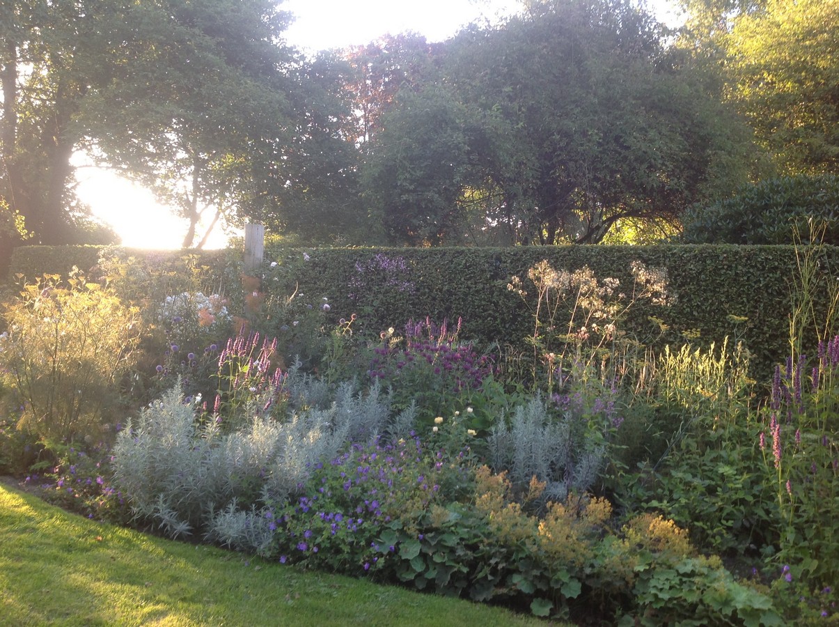 Garten Chris Bruinsma - Het Tuinpad Op / In Nachbars Garten