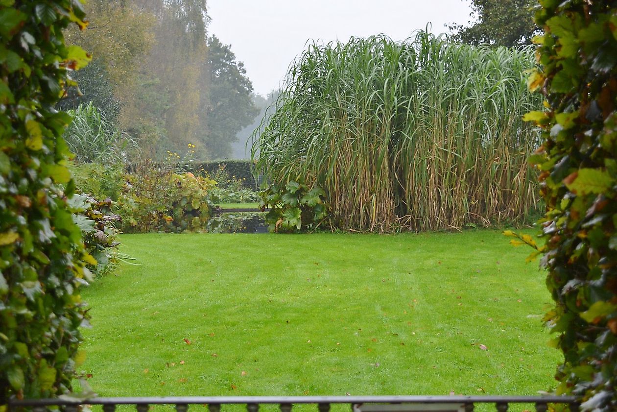 Garten Chris Bruinsma - Het Tuinpad Op / In Nachbars Garten