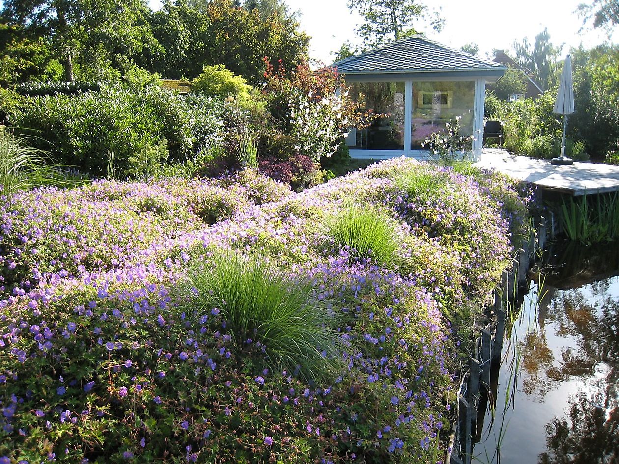 Wassergarten - Het Tuinpad Op / In Nachbars Garten