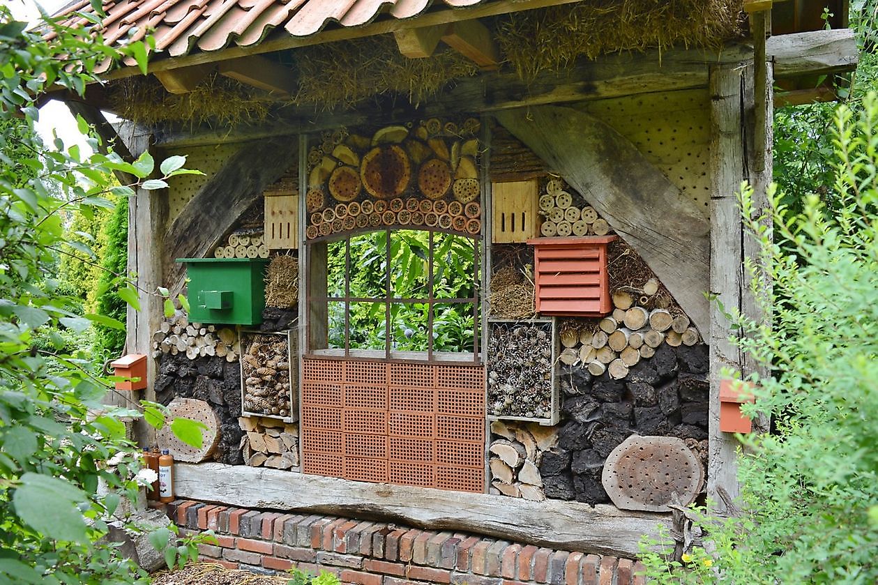 Landhof Tausendschön - Het Tuinpad Op / In Nachbars Garten