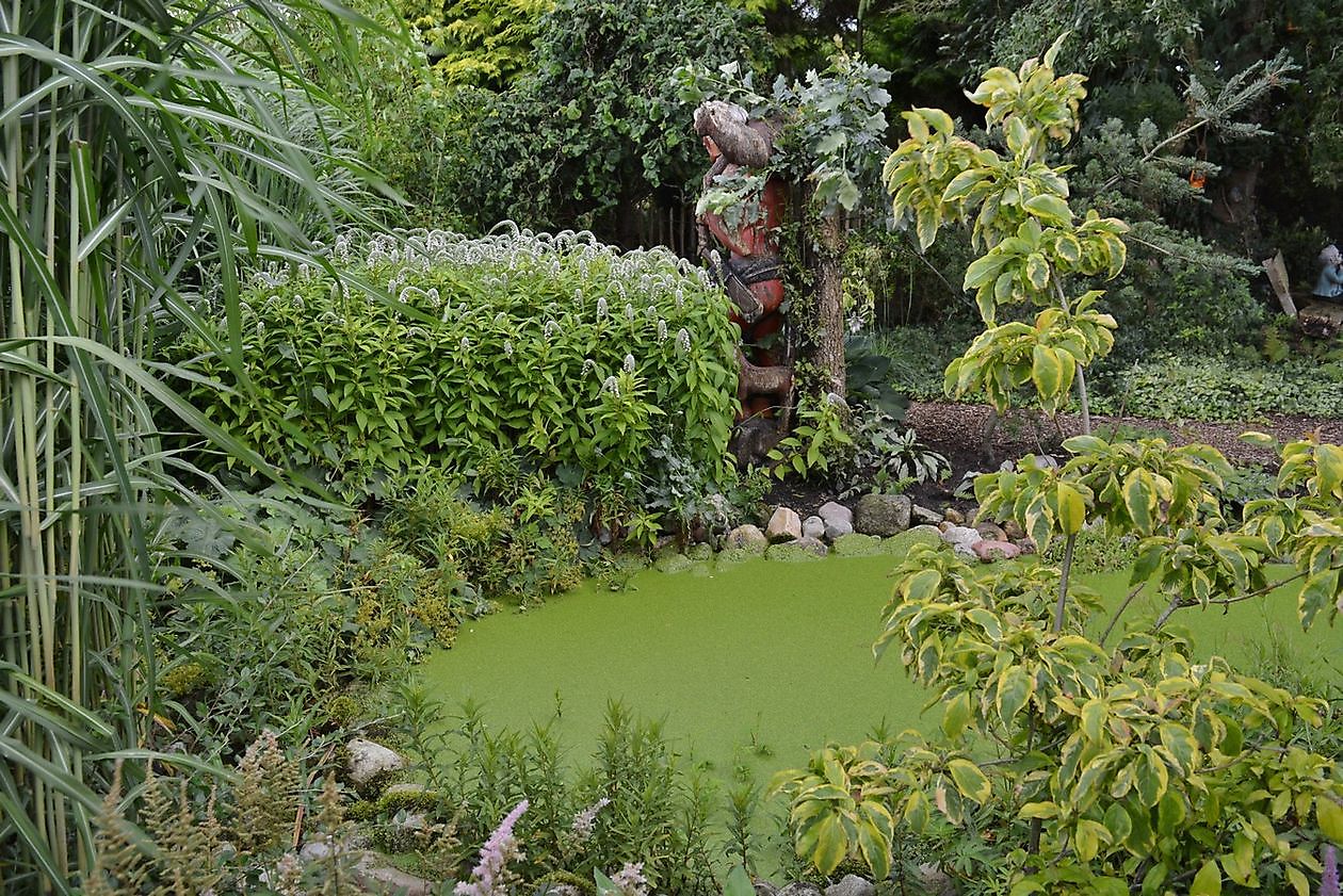 Landhof Tausendschön - Het Tuinpad Op / In Nachbars Garten