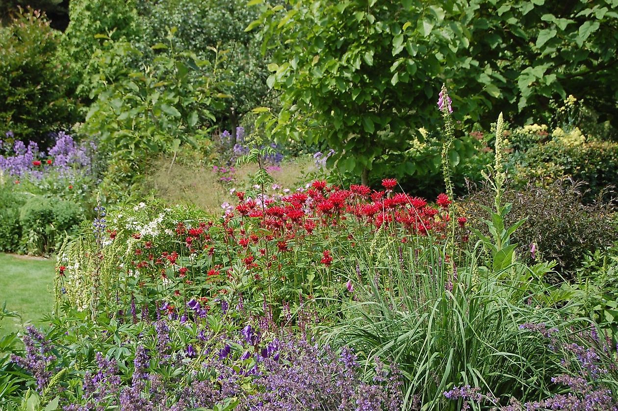 ‘t Vlijtig Loesje (die fleissige Loesje) - Het Tuinpad Op / In Nachbars Garten