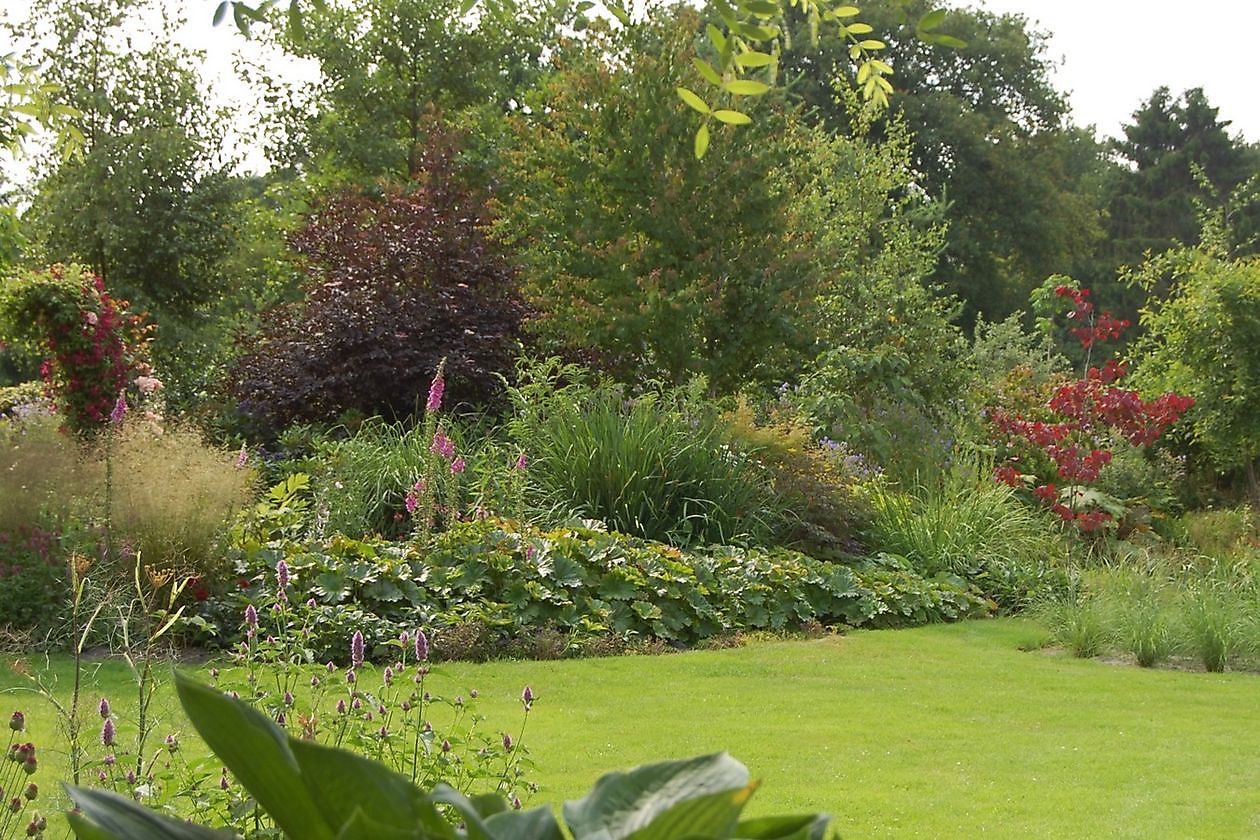 ‘t Vlijtig Loesje (die fleissige Loesje) - Het Tuinpad Op / In Nachbars Garten