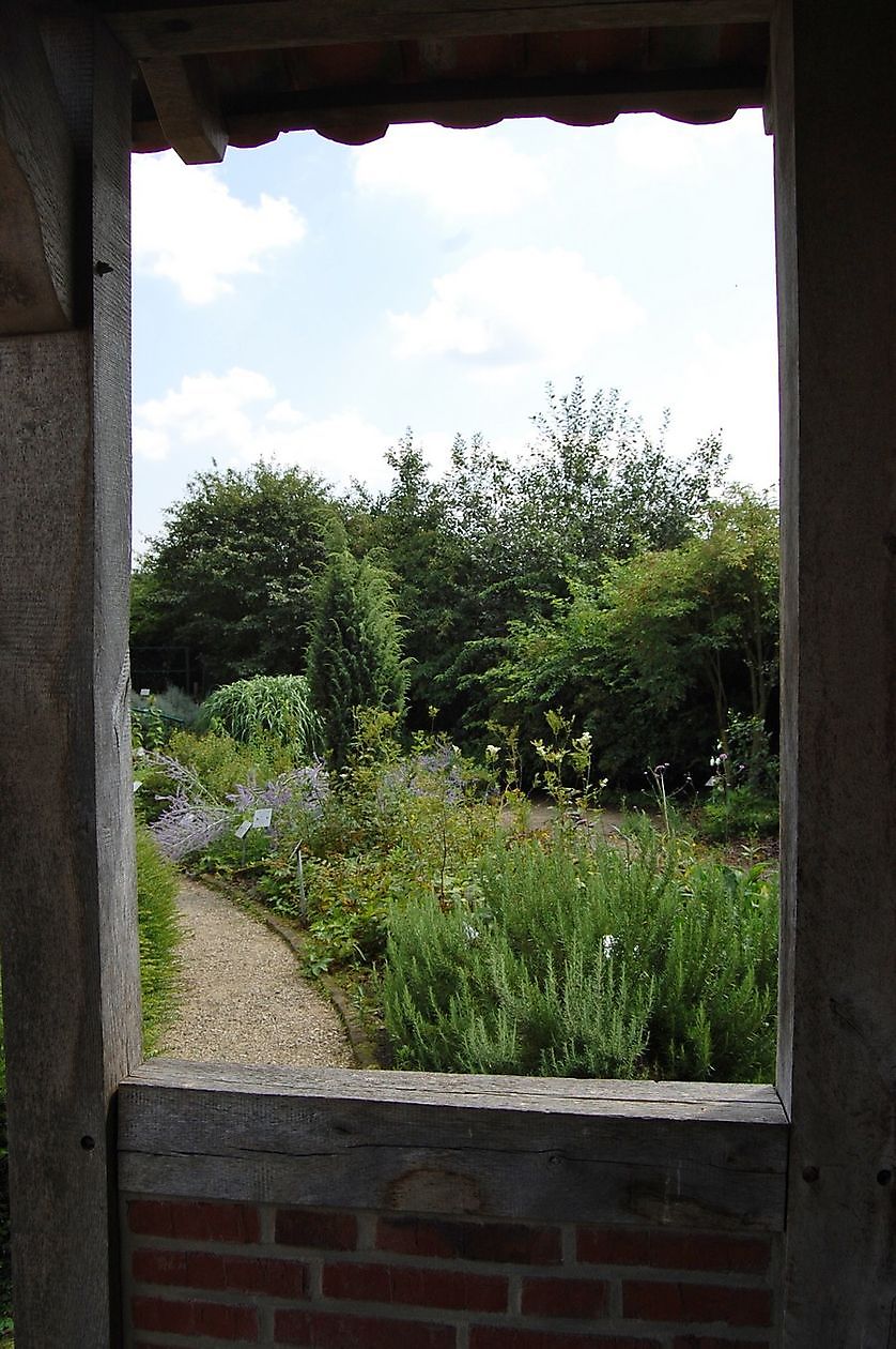 Heilkräutergarten des Heimatvereins Kirchspiel Emsbüren e.V. - Het Tuinpad Op / In Nachbars Garten