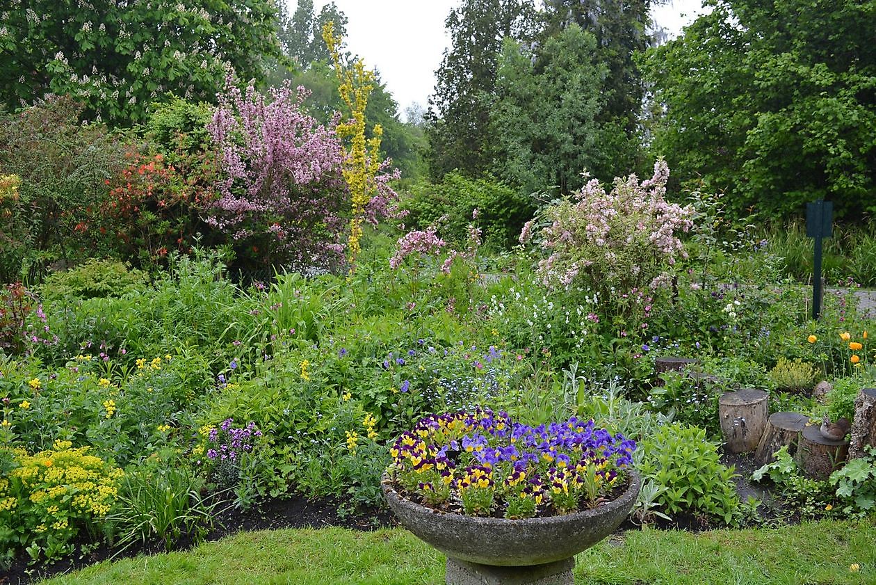 A.T.V. Piccardthof - Het Tuinpad Op / In Nachbars Garten