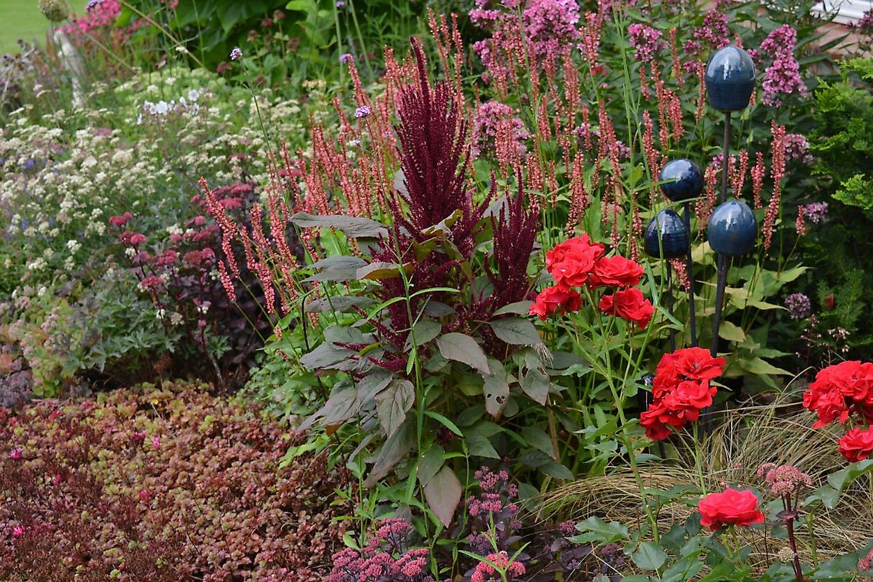 Vechtetal Garten - Het Tuinpad Op / In Nachbars Garten