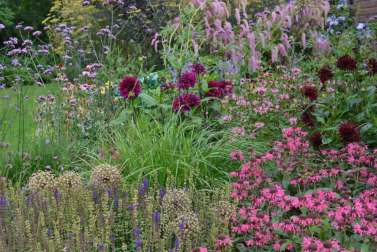 Vechtetal Garten - Het Tuinpad Op / In Nachbars Garten