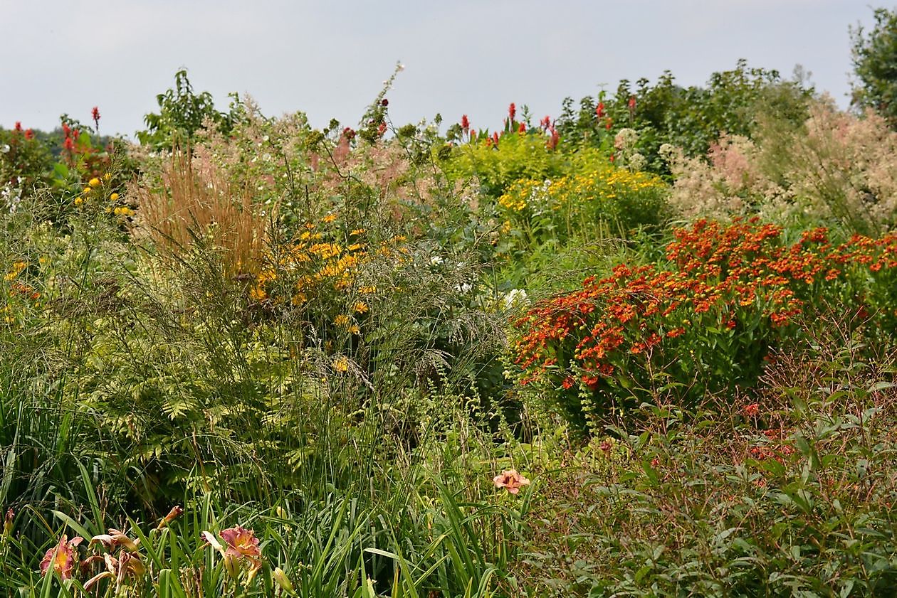 Vechtetal Garten - Het Tuinpad Op / In Nachbars Garten