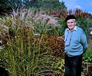 Bürgergarten Pagels/Ernst Pagels Garten - Het Tuinpad Op / In Nachbars Garten