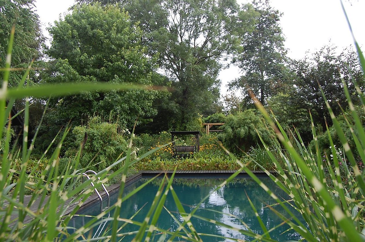 Wassergarten - Het Tuinpad Op / In Nachbars Garten