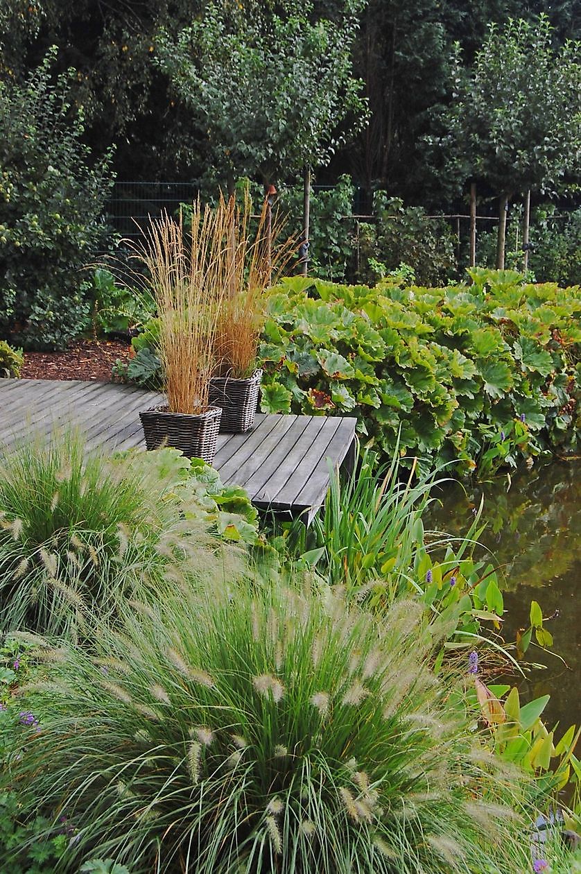 Wassergarten - Het Tuinpad Op / In Nachbars Garten