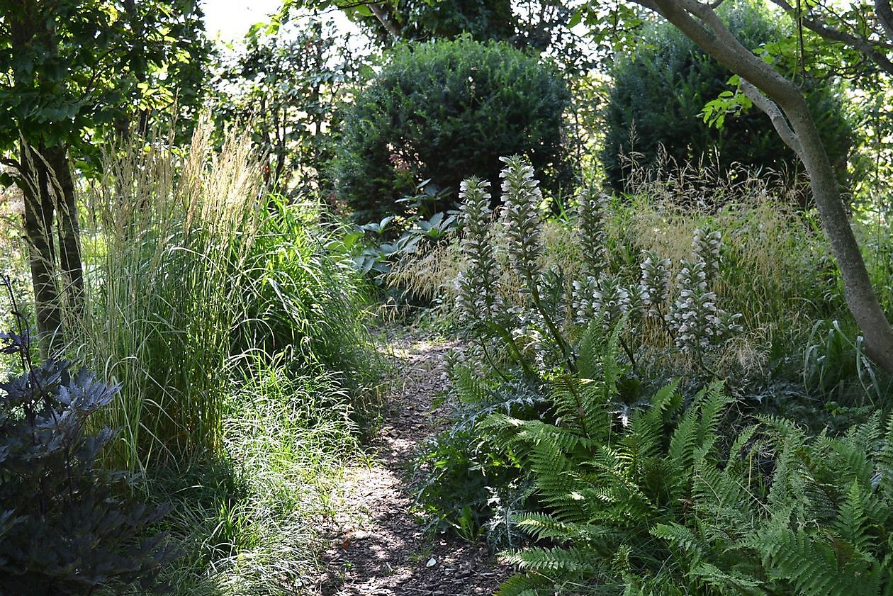 Aan de Dijk - Het Tuinpad Op / In Nachbars Garten