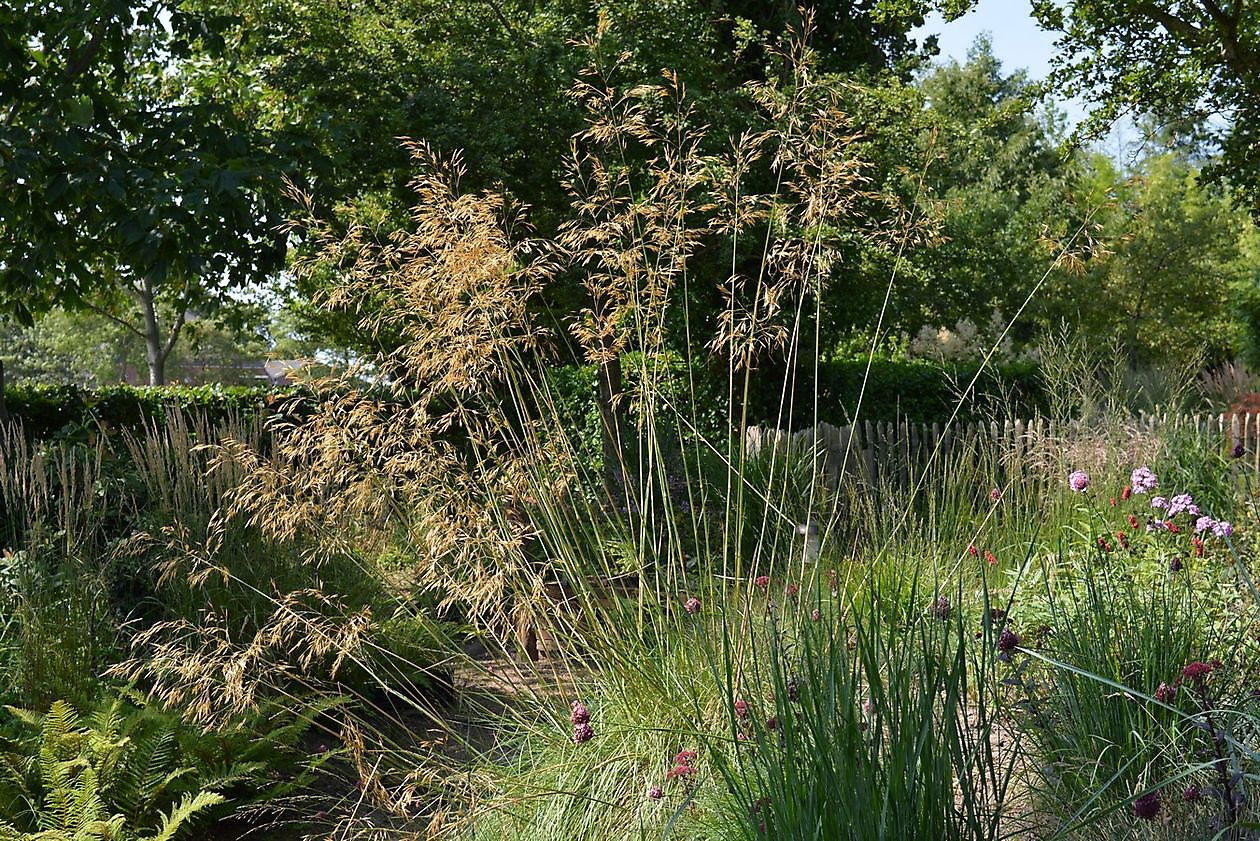 Aan de Dijk - Het Tuinpad Op / In Nachbars Garten