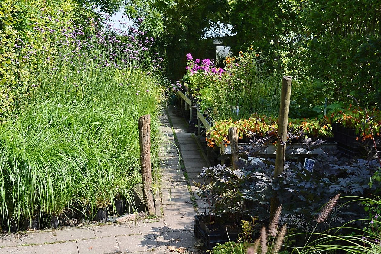 Aan de Dijk - Het Tuinpad Op / In Nachbars Garten