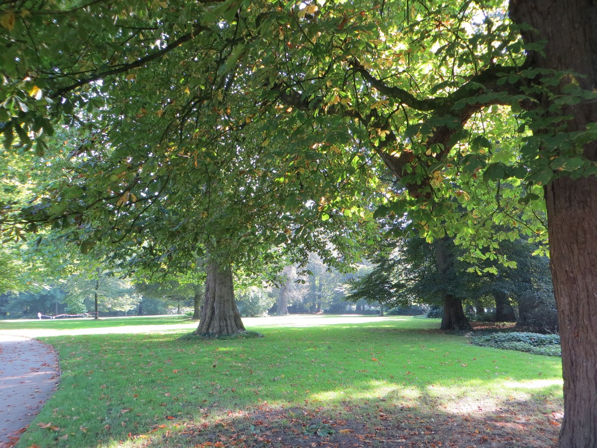 Evenburger Schlosspark - Het Tuinpad Op / In Nachbars Garten