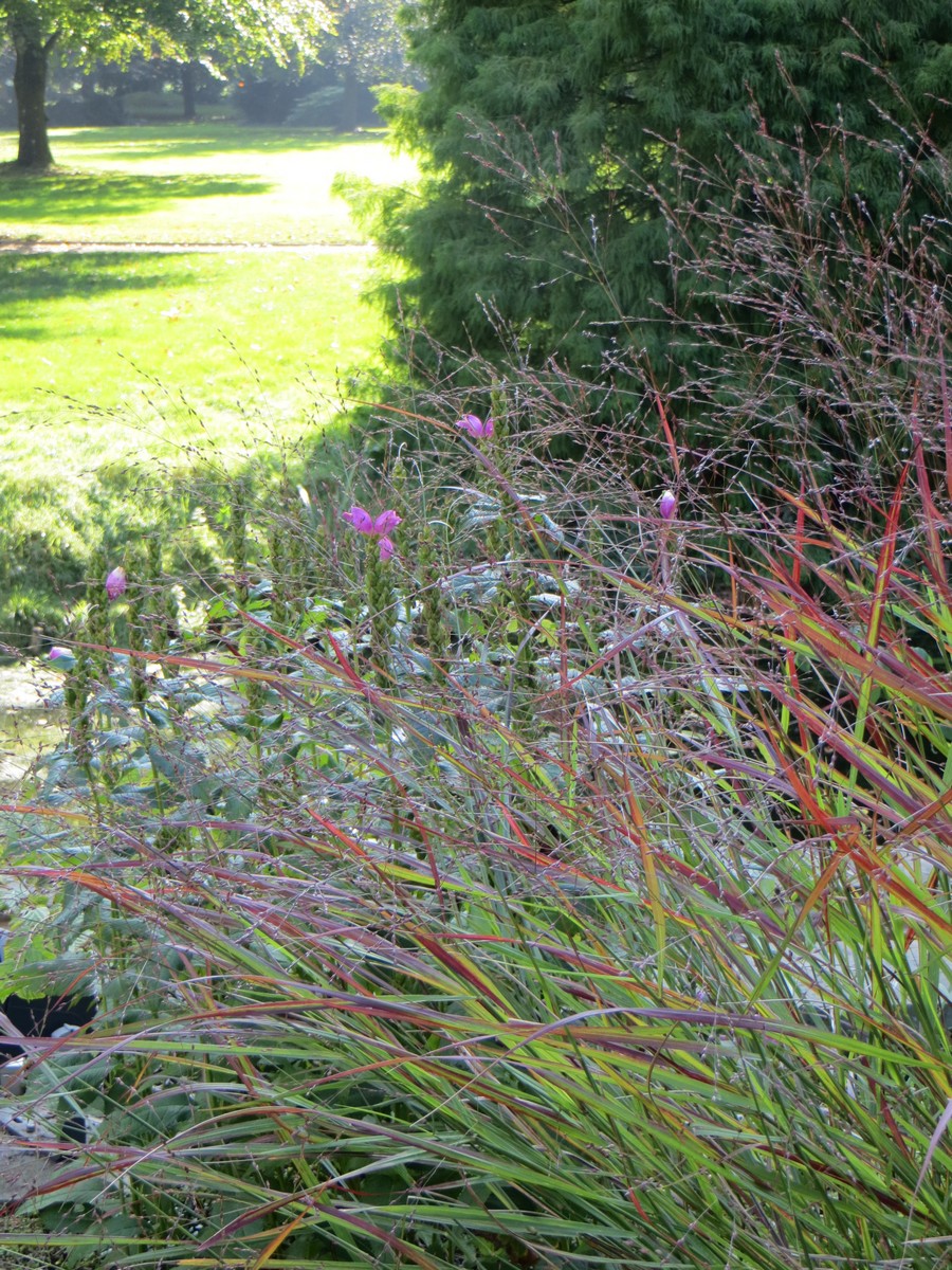 Evenburger Schlosspark - Het Tuinpad Op / In Nachbars Garten