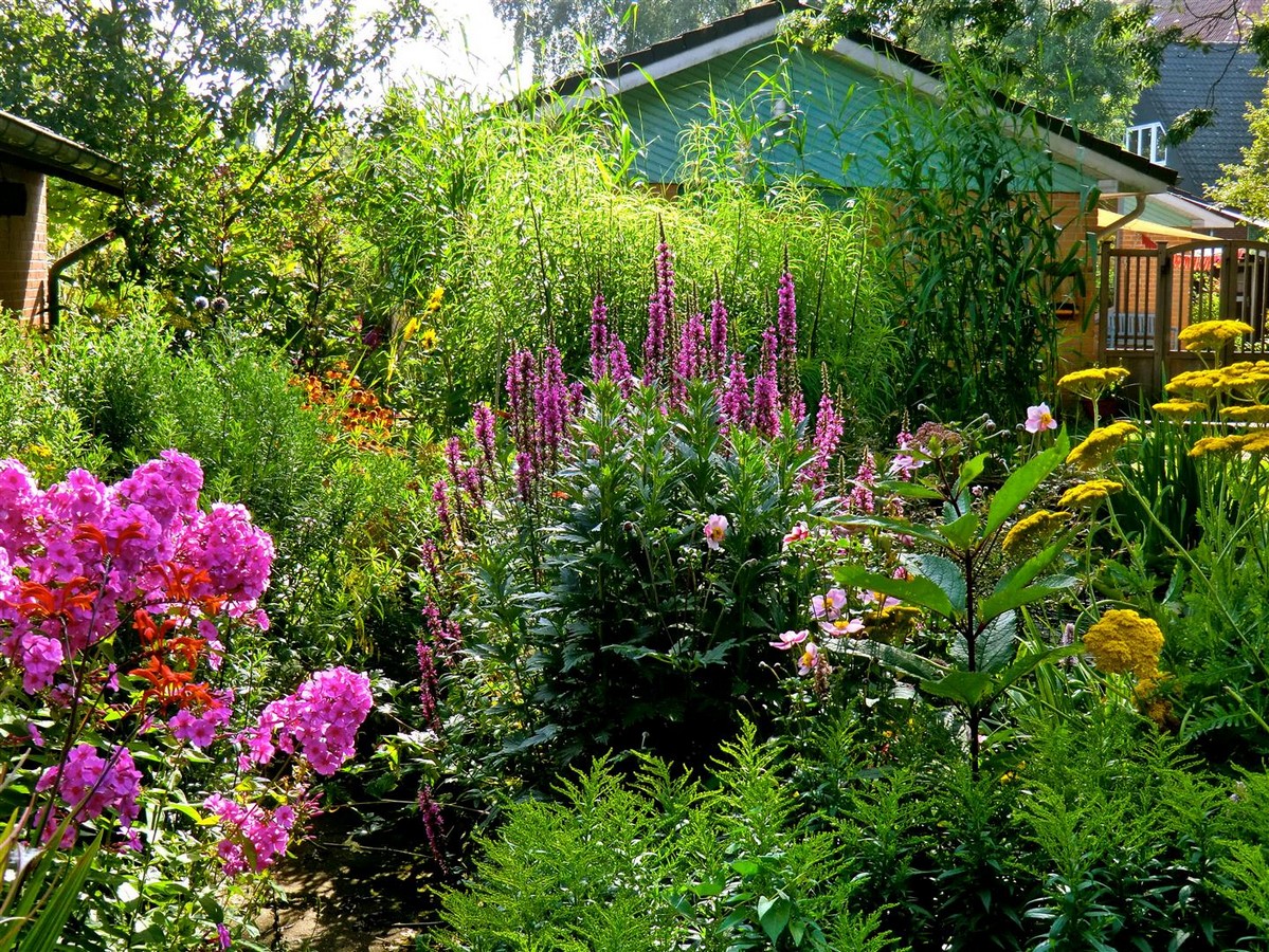 Bürgergarten Pagels/Ernst Pagels Garten - Het Tuinpad Op / In Nachbars Garten