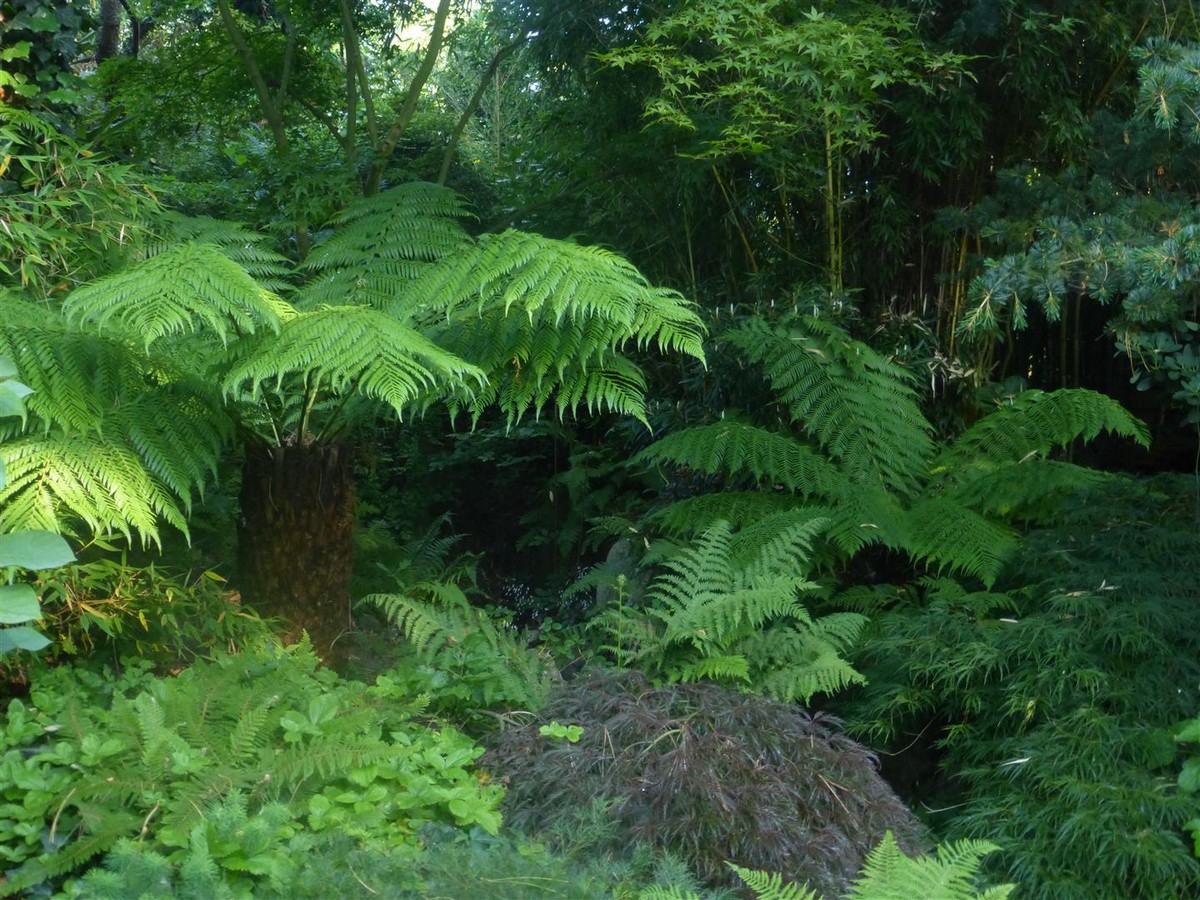 Garten der Stille - Het Tuinpad Op / In Nachbars Garten