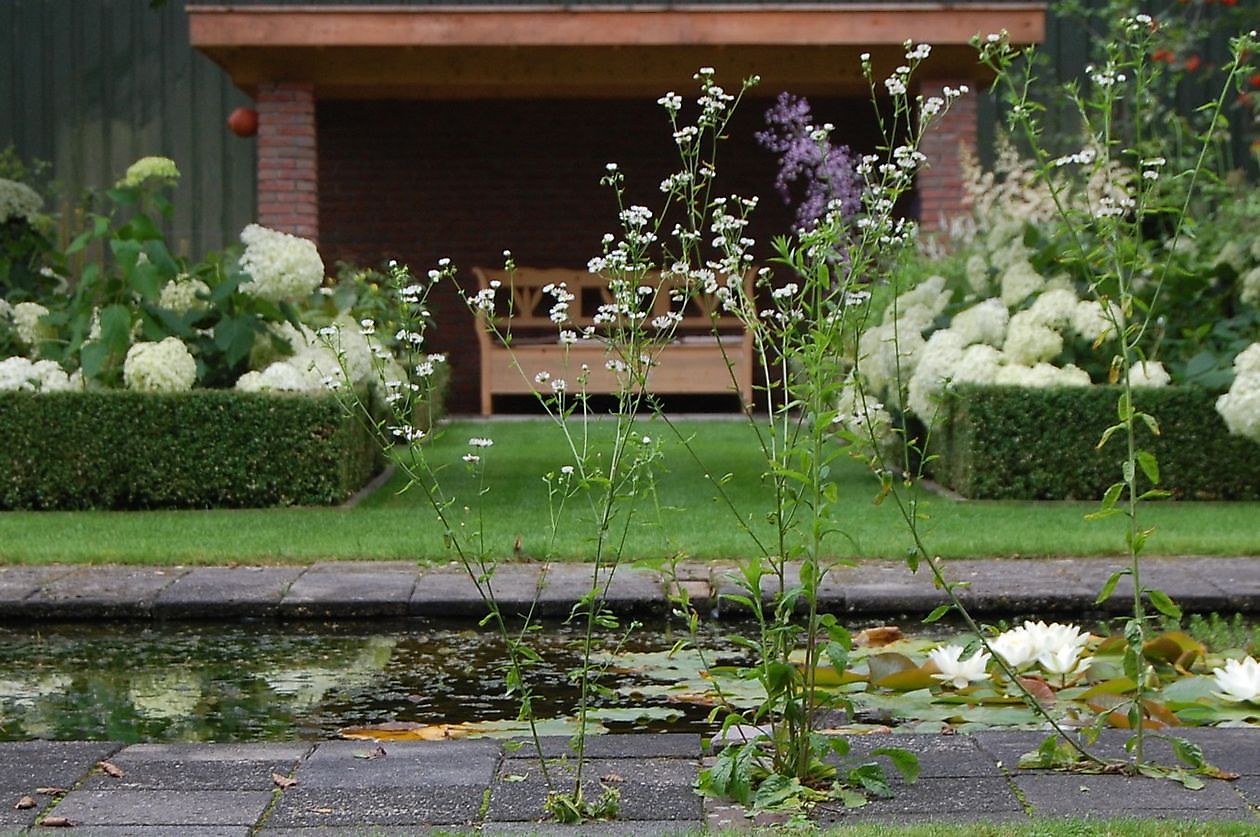 Cocky Stottelaar - Het Tuinpad Op / In Nachbars Garten