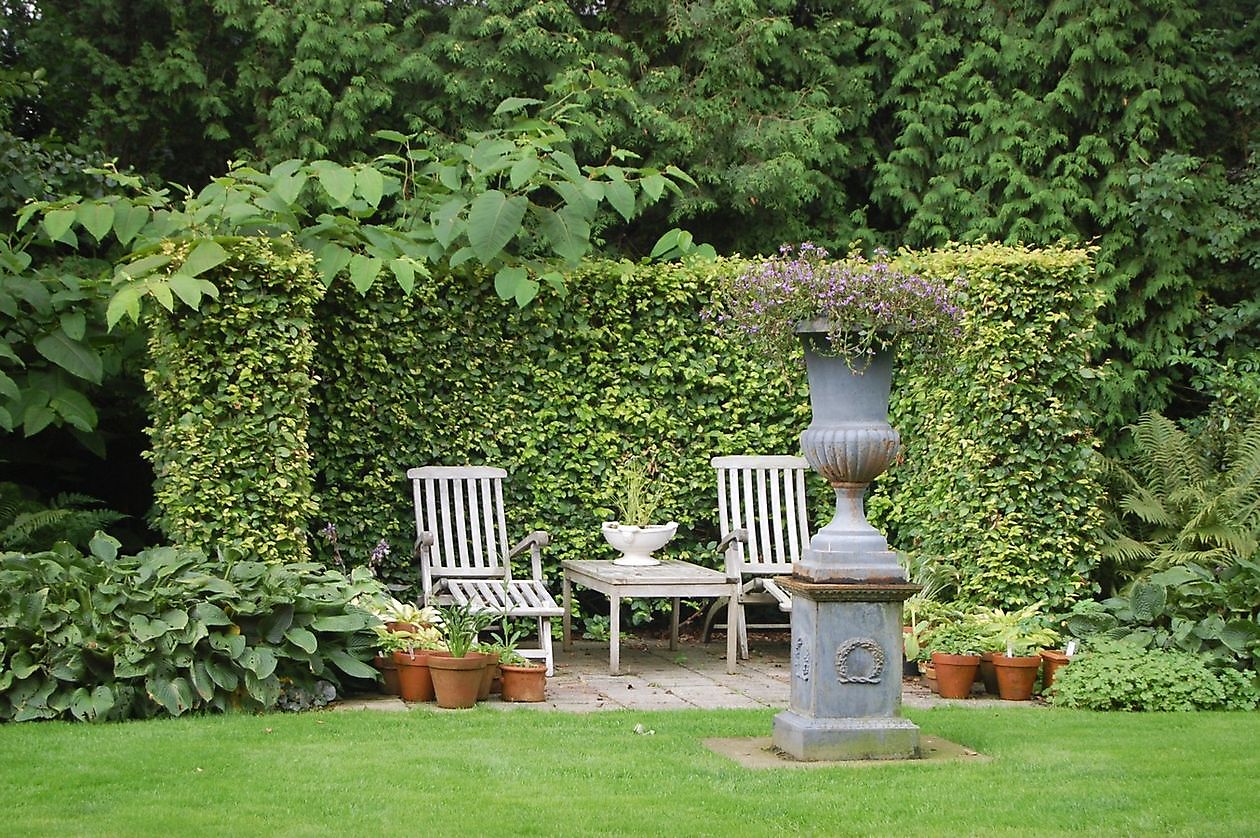 Cocky Stottelaar - Het Tuinpad Op / In Nachbars Garten