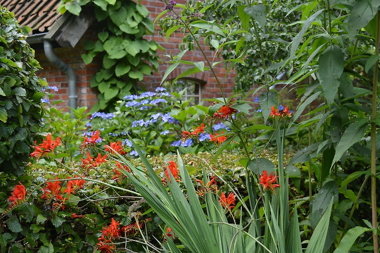 Garten Elke & Manfred Meins - Het Tuinpad Op / In Nachbars Garten