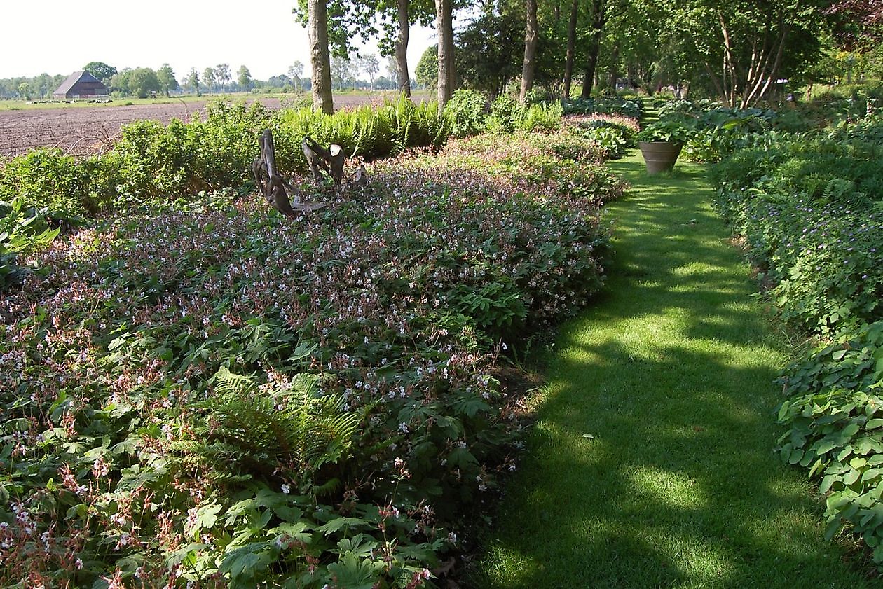 De Luie Tuinman  -  Der faule Gärtner - Het Tuinpad Op / In Nachbars Garten