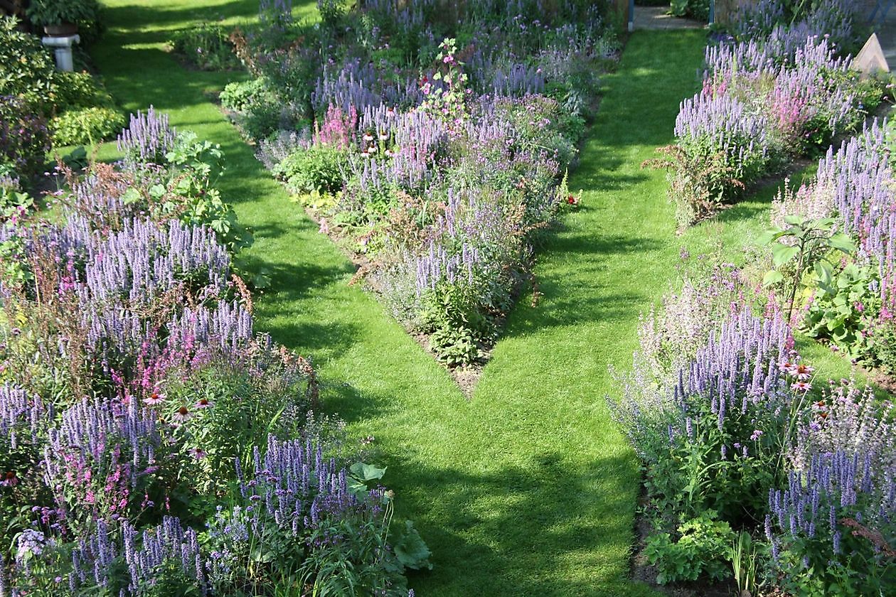 De Luie Tuinman  -  Der faule Gärtner - Het Tuinpad Op / In Nachbars Garten