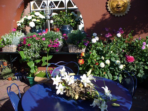 - Het Tuinpad Op / In Nachbars Garten
