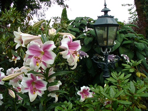 - Het Tuinpad Op / In Nachbars Garten