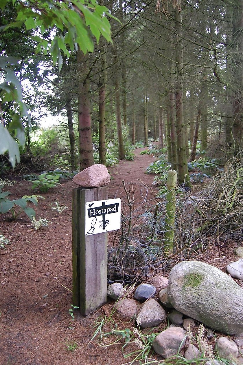 The Stonefarm - Het Tuinpad Op / In Nachbars Garten