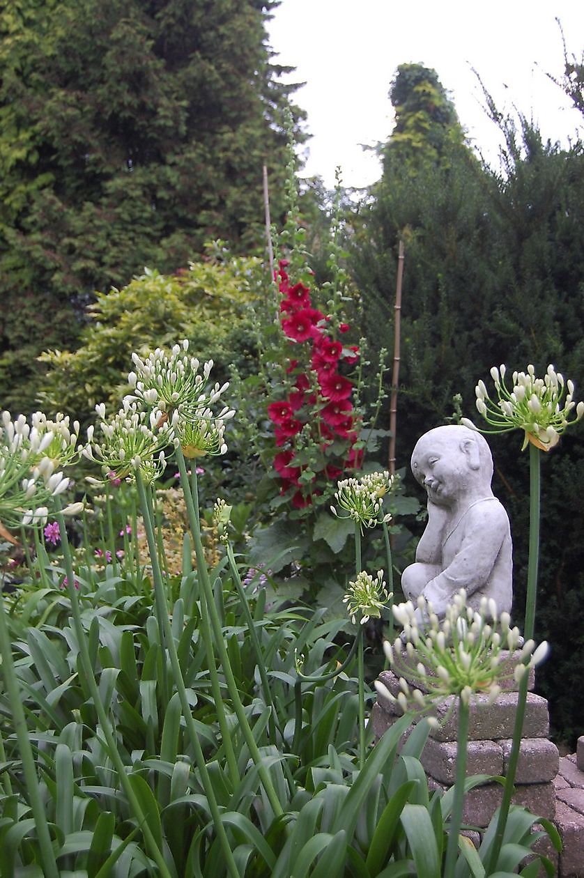 The Stonefarm - Het Tuinpad Op / In Nachbars Garten